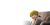 CCAM Web Banner CCA19905 TEST BANNER