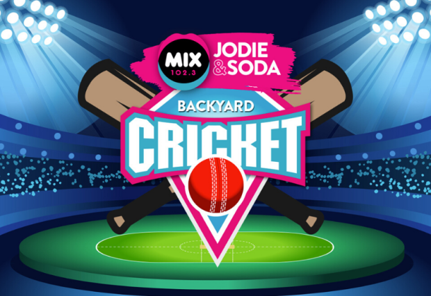 Mix1023 Backyard Cricket 800X550