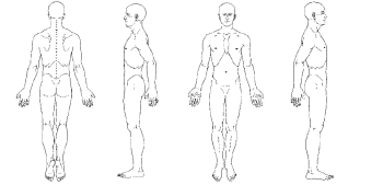 Front, back and side views of the human body for massage treatment assessment